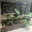 5 Bedroom House for sale in Leon Guanajuato, Leon