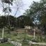  Terreno (Parcela) en venta en Cancún, Quintana Roo, Cancún