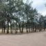  Land for sale in Tonala, Jalisco, Tonala