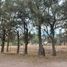  Land for sale in Tonala, Jalisco, Tonala
