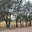  Land for sale in Tonala, Jalisco, Tonala