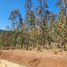  Land for sale in Chile, Pichilemu, Cardenal Caro, Libertador General Bernardo Ohiggins, Chile