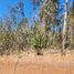  Land for sale in Chile, Pichilemu, Cardenal Caro, Libertador General Bernardo Ohiggins, Chile