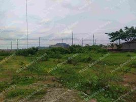  Land for sale in Samborondon, Guayas, Samborondon, Samborondon