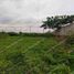  Land for sale in Samborondon, Guayas, Samborondon, Samborondon