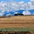  Land for sale in Patia, Cauca, Patia