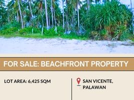  Land for sale in San Vicente, Mimaropa, San Vicente, Palawan, Mimaropa