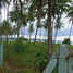 Land for sale in San Vicente, Mimaropa, San Vicente, Palawan, Mimaropa