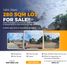  Land for sale in Bayambang, Ilocos, Bayambang