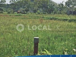  Land for sale in Parungpanjang, Bogor, Parungpanjang