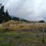  Land for sale in Nono, Quito, Nono