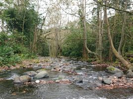  Terreno (Parcela) en venta en Xico, Veracruz, Xico