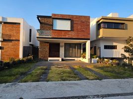3 Schlafzimmer Appartement zu verkaufen in Zapopan, Jalisco, Zapopan, Jalisco