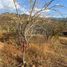  Land for sale in Del Centro, Oaxaca, Del Centro