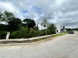 在Progreso, Yucatan出售的 土地, Progreso
