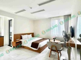 1 Phòng ngủ Chung cư for rent in Phước Mỹ, Sơn Trà, Phước Mỹ