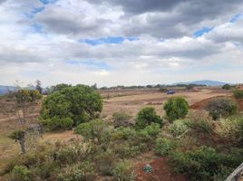  Land for sale in Mineral Del Chico, Hidalgo, Mineral Del Chico