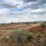  Land for sale in Mineral Del Chico, Hidalgo, Mineral Del Chico