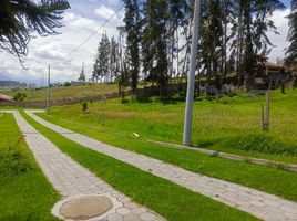  Terreno (Parcela) en venta en Ambato, Tungurahua, Atahualpa (Chisalata), Ambato