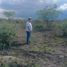  Terreno (Parcela) en venta en Tambo Grande, Piura, Tambo Grande, Piura, Piura