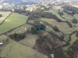  Terreno (Parcela) en venta en Saavedra, Cautín, Saavedra