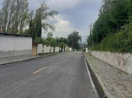  Land for sale in Conocoto, Quito, Conocoto