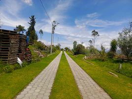  Land for sale in Ambato, Tungurahua, Atahualpa Chisalata, Ambato