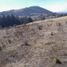  Land for sale in Patzcuaro, Michoacan, Patzcuaro