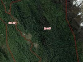  Terreno (Parcela) en venta en Chile, Lago Verde, Coihaique, Aisén del General Carlos Ibáñez del Campo, Chile