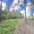  Land for sale in Chile, Vilcun, Cautin, Araucania, Chile