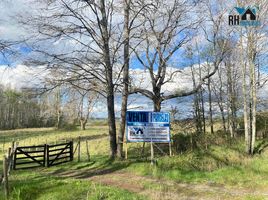  Land for sale in Chile, Cunco, Cautin, Araucania, Chile