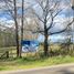  Land for sale in Chile, Cunco, Cautin, Araucania, Chile