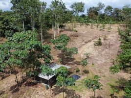  Terreno (Parcela) en venta en San Miguel de los Bancos, Pichincha, San Miguel De Los Bancos, San Miguel de los Bancos