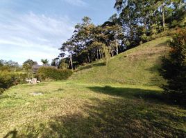  Land for sale in Rionegro, Antioquia, Rionegro, Antioquia, Colombia