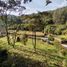  Land for sale in Rionegro, Antioquia, Rionegro, Antioquia, Colombia