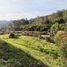  Land for sale in Rionegro, Antioquia, Rionegro, Antioquia, Colombia