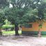  Land for sale in Tepoztlan, Morelos, Tepoztlan