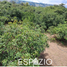  Land for sale in Guayllabamba, Quito, Guayllabamba