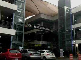 50 SqM Office for rent in Hidalgo, San Agustin Tlaxiaca, Hidalgo