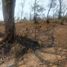  Land for sale in Ixtaczoquitlan, Veracruz, Ixtaczoquitlan