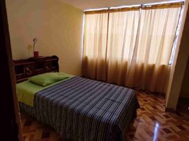 3 Habitación Apartamento en alquiler en Lima, La Molina, Lima, Lima