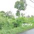  Land for sale in Blahbatu, Gianyar, Blahbatu