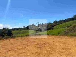  Land for sale in Guarne, Antioquia, Guarne, Antioquia, Colombia