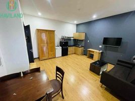 1 Bedroom Apartment for rent in My An, Da Nang, My An