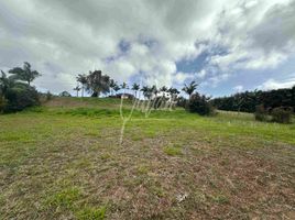  Land for sale in Pereira, Risaralda, Pereira