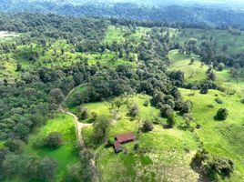  Land for sale in Pedro Vicente Maldonado, Pichincha, Pedro Vicente Maldonado, Pedro Vicente Maldonado