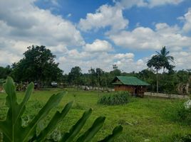  Terrain for sale in Alfonso, Cavite, Alfonso