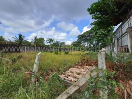  Land for sale in Puerto Princesa City, Mimaropa, Puerto Princesa City, Palawan, Mimaropa