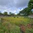  Land for sale in Puerto Princesa City, Mimaropa, Puerto Princesa City, Palawan, Mimaropa