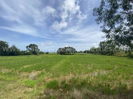  Terrain for sale in Aborlan, Palawan, Aborlan